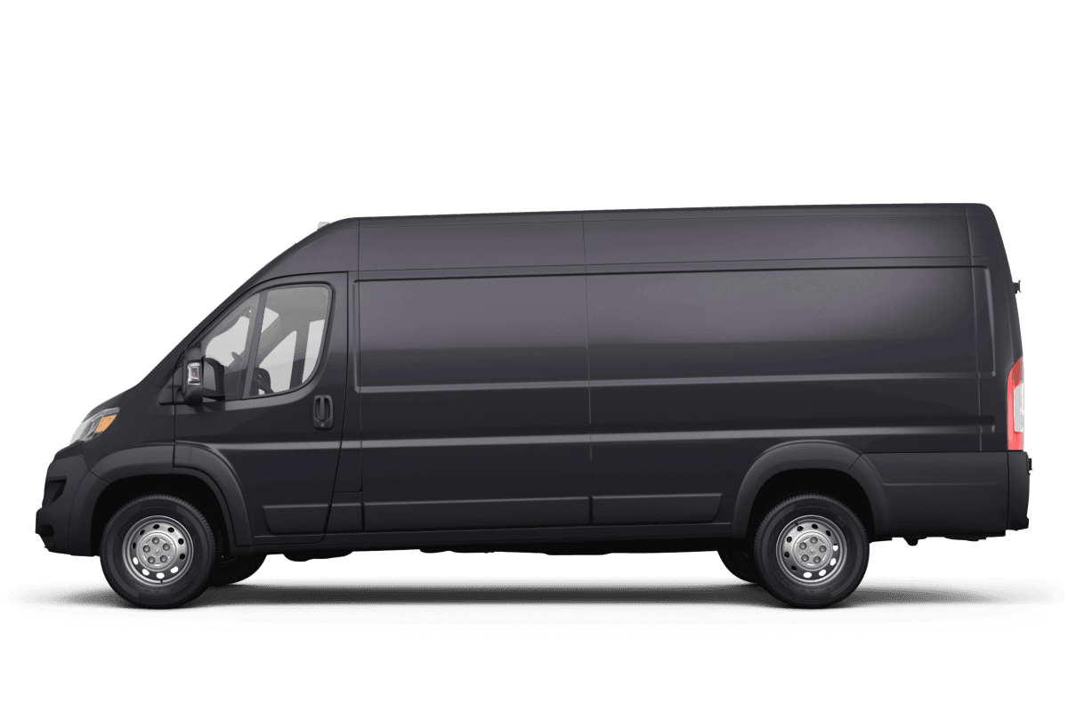 Ram false - Side view Ram false - Side view